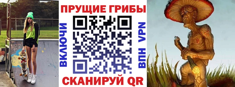 Галлюциногенные грибы Magic Shrooms Сланцы